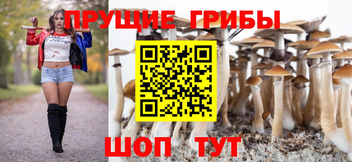 Галлюциногенные грибы мицелий  Вход с VPN  Назарово 